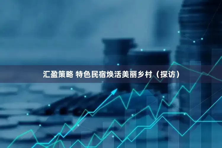 汇盈策略 特色民宿焕活美丽乡村（探访）