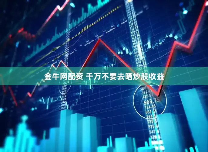 金牛网配资 千万不要去晒炒股收益